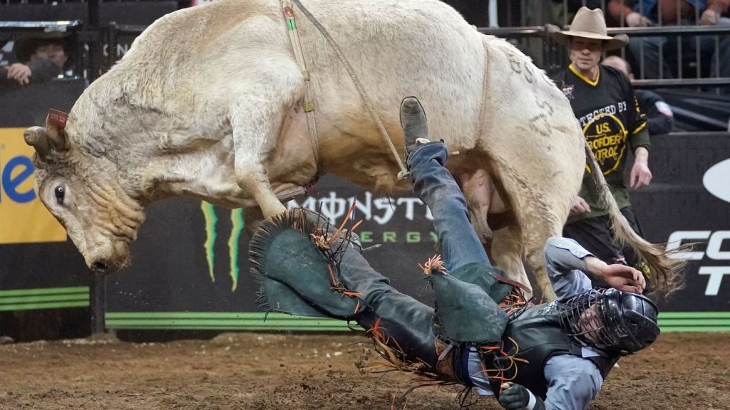Meet the cowboys bringing bull riding — and 750 tons of dirt — to a city near you