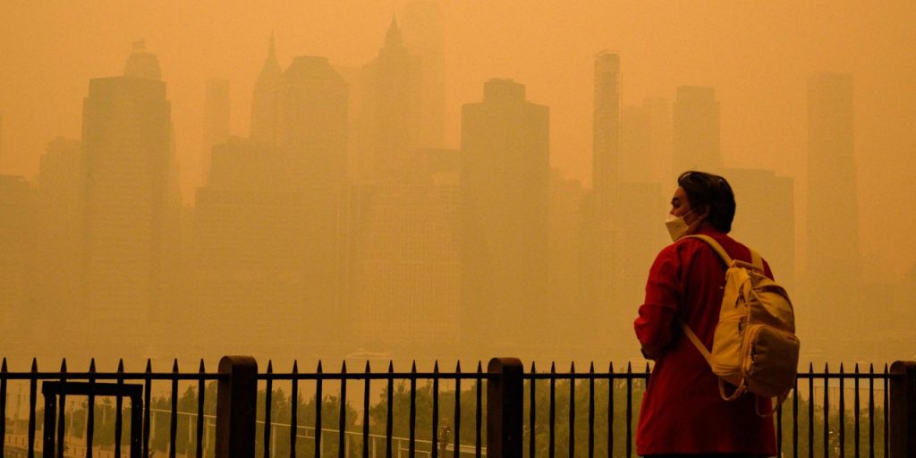 Wildfire Smoke Is Everywhere. Not All Filters Are Alike.