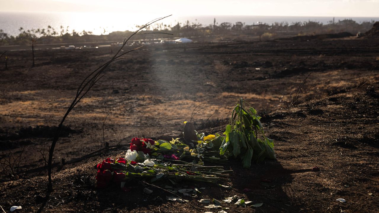 An offering of flowers is left on the ground following the Maui fires in Lahaina, West Maui, Hawaii, August 16, 2023. 