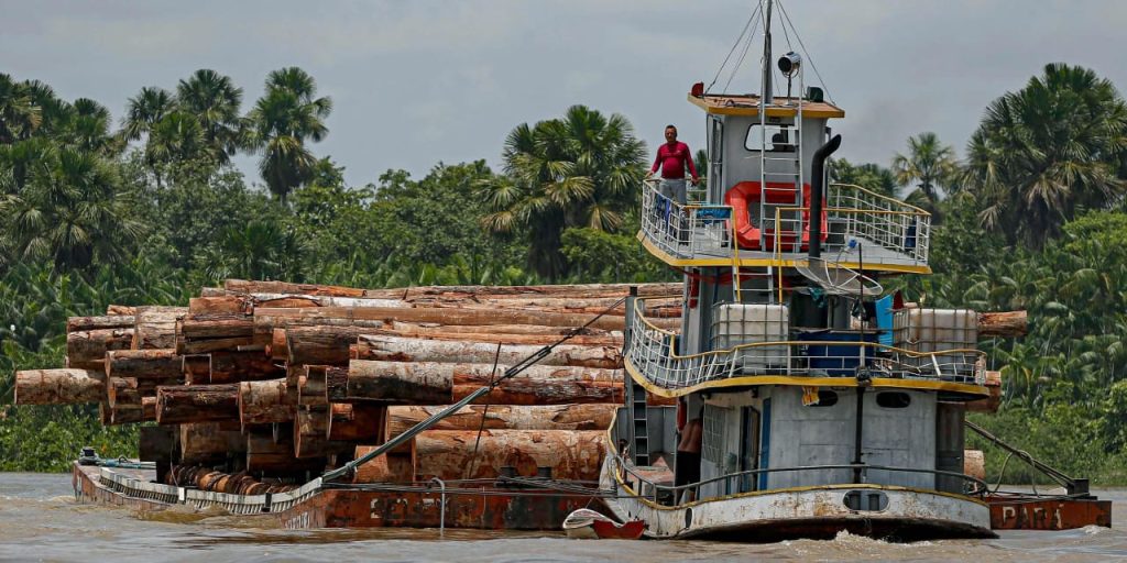 Opinion: Bad-mouthing carbon markets drives away the companies that need them most