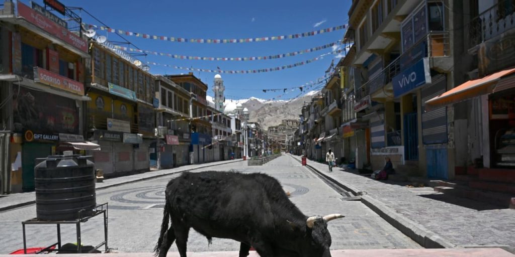 Resurgent ‘animal spirits’ in financial markets may undermine Fed’s inflation battle, Nomura says