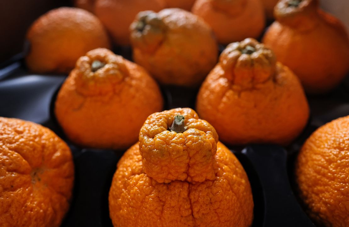 Sumo Citrus and other fruit varietals have developed a cult following.